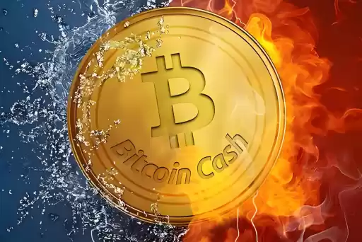 CK审计是什么意思 CK审计解析