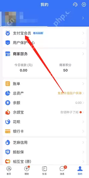 支付宝会员IP头像框怎么获得