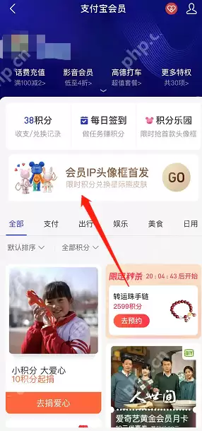 支付宝会员IP头像框怎么获得