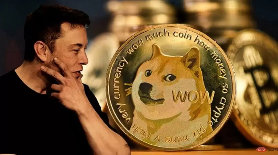 为什么狗狗币价格近期上涨？市场情绪如何影响DOGE？