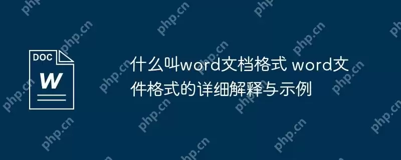 什么叫word文档格式 word文件格式的详细解释与示例