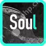 soul怎么连麦聊天？连麦聊天步骤一样