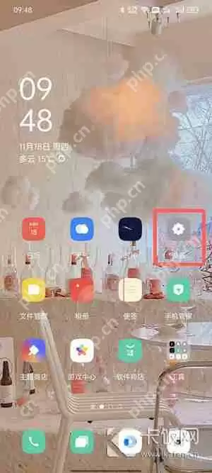 oppo安装软件需要验证身份怎么取消