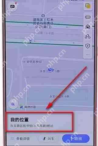 在高德地图里怎么分享位置？高德地图分享位置步骤一览