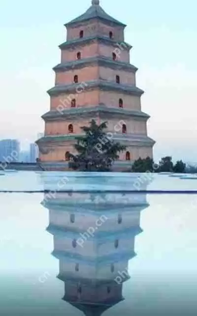 20211202对称日是什么梗