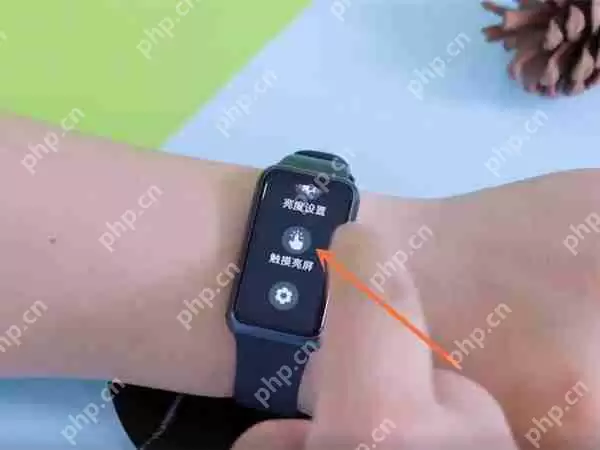 华为手环7亮屏触摸怎么启动