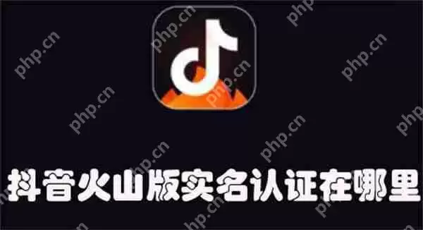 抖音火山版实名认证在哪里
