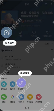 波点音乐怎么导入酷狗音乐