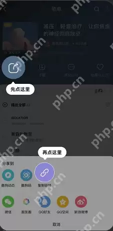 波点音乐怎么导入酷狗音乐