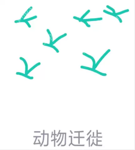 qq画图红包动物迁徙怎么画？QQ画图红包动物迁徙画法分享