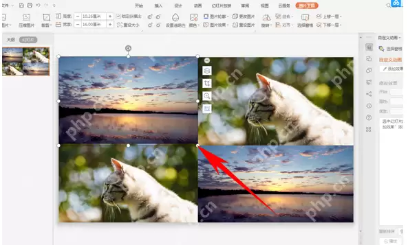 怎么将幻灯片当中的图片拼成心形 幻灯片当中的图片拼成心形流程一览