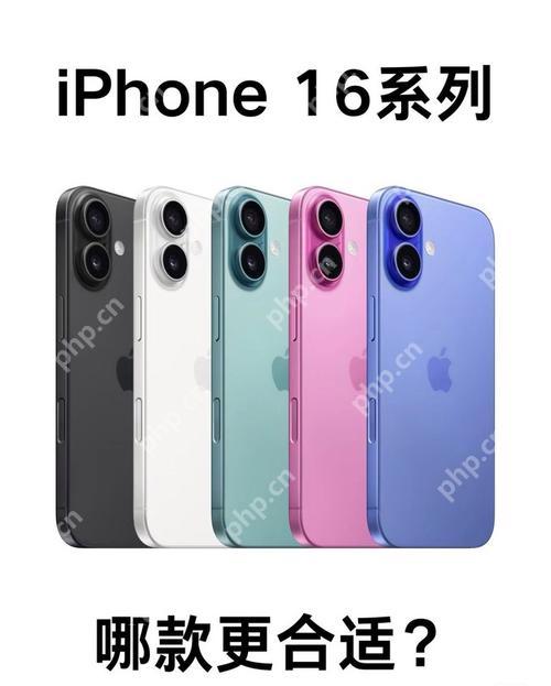 苹果手机充电充不进去什么原因 苹果max手机充电充不进去什么原因