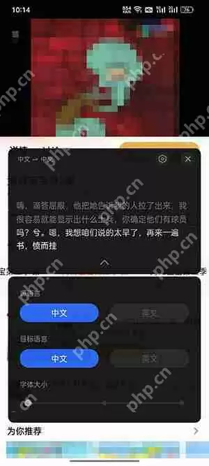 oppo智能字幕可以翻译日语吗