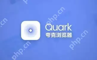 夸克浏览器视频播放怎么弄