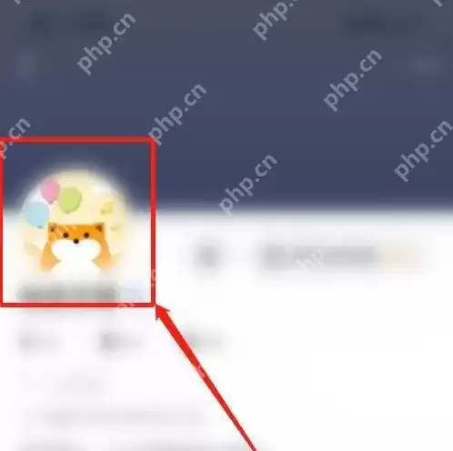 狐友app怎么设置头像 狐友app设置头像方法
