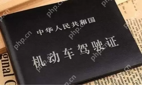 交管12123电子驾驶证交警认可吗