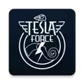 特斯拉战队