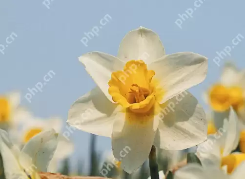 抖音带孩子的热门软文