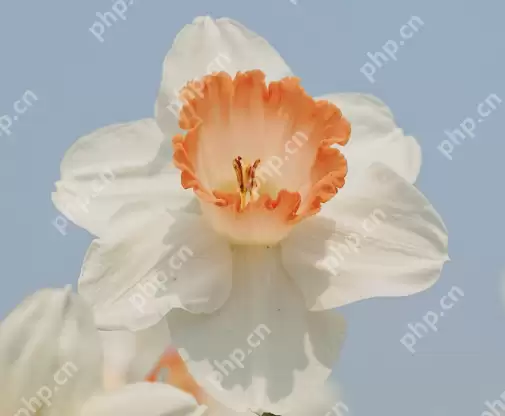 抖音带孩子的热门软文