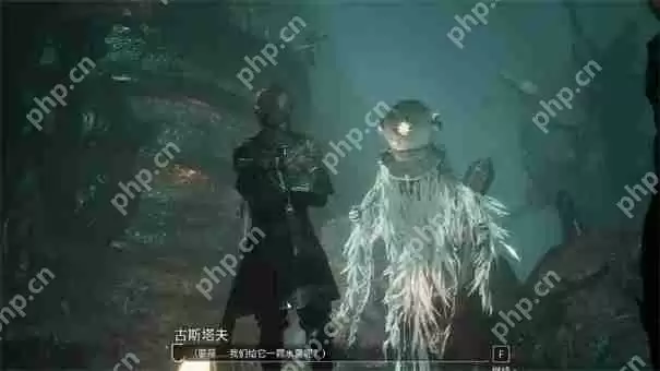 光与影33号远征队雷灵打不打