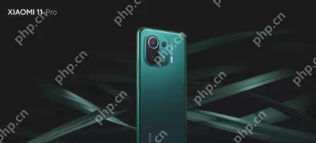 小米11Pro紫色和绿色哪个好看