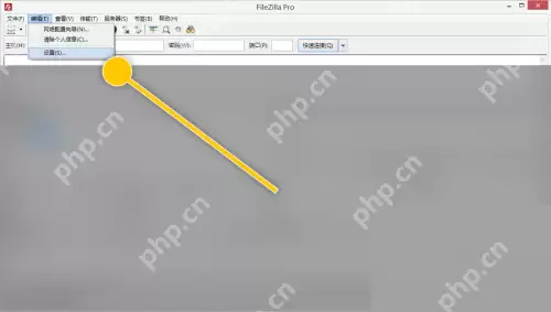 FileZilla怎么交换本地面板和远程面板？FileZilla交换本地面板和远程面板教程