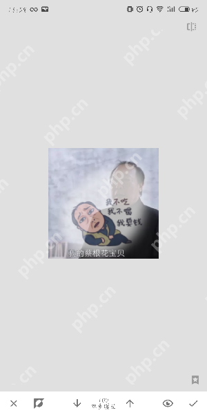 snapseed软件如何拼接图片_snapseed拼接图片步骤解析