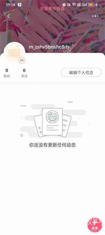 蘑菇街怎么查自己账号