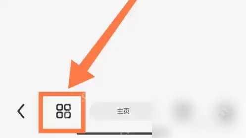 raindrop.io怎么用 Rains浏览器设置音频和视频的自动播放方法