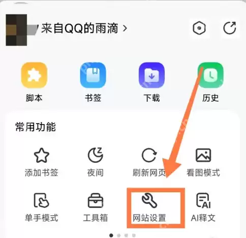 raindrop.io怎么用 Rains浏览器设置音频和视频的自动播放方法