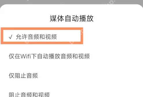raindrop.io怎么用 Rains浏览器设置音频和视频的自动播放方法