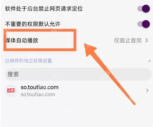 raindrop.io怎么用 Rains浏览器设置音频和视频的自动播放方法