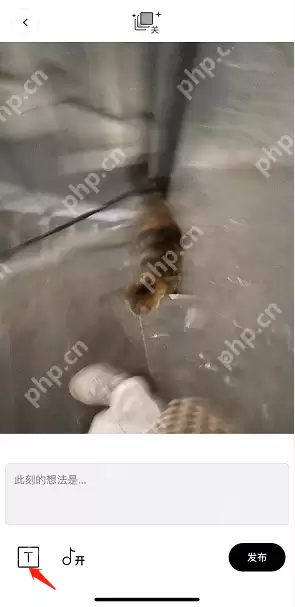 啫喱图片动态怎么添加文字