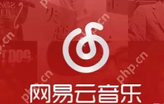 网易云音乐年度总结怎么查看 年度总结查看方法详解