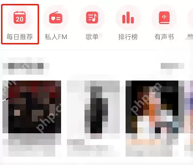 网易云音乐日推歌曲怎么评价
