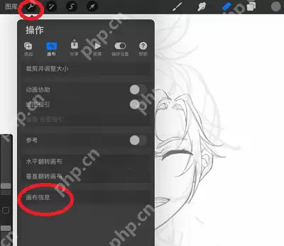 procreate在哪看画了多少笔