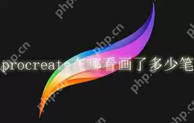 procreate在哪看画了多少笔