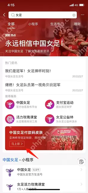 支付宝女足付款码皮肤怎么领取