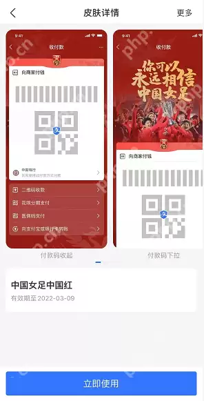 支付宝女足付款码皮肤怎么领取