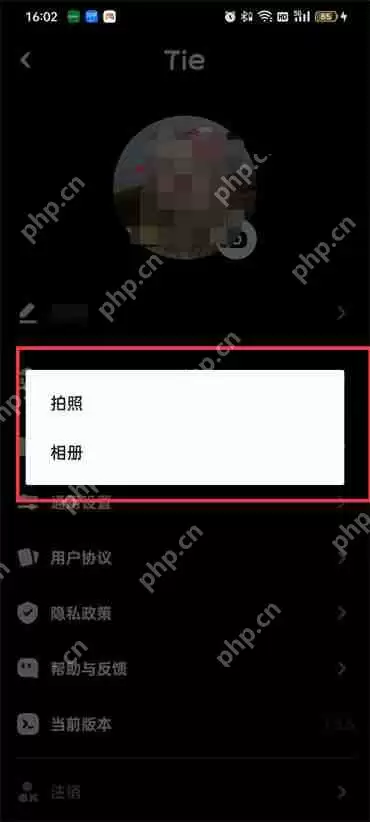 贴贴头像怎么换