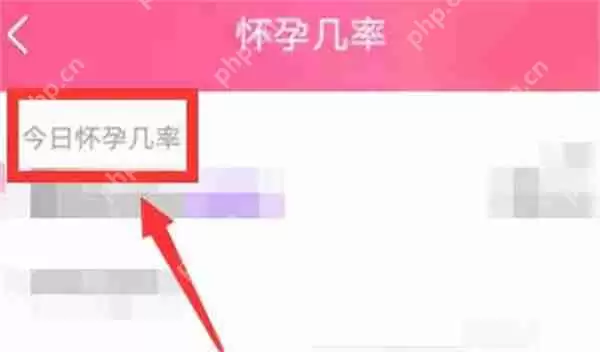 美柚怀孕几率在哪里查看
