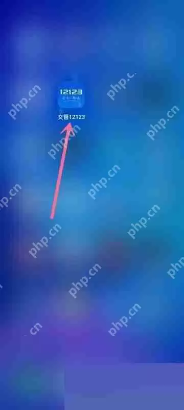 交管12123隐私政策怎么查看？交管12123隐私政策查看教程