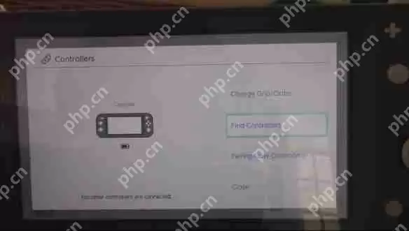 Switch Lite实机上手试 任天堂谈手柄漂移问题