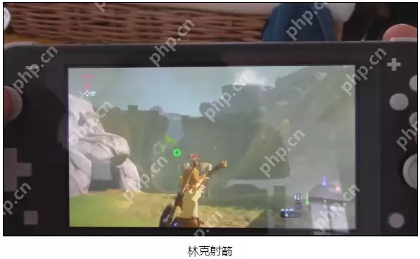 Switch Lite实机上手试 任天堂谈手柄漂移问题