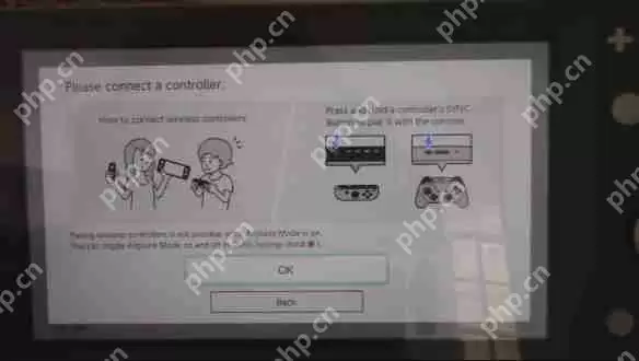 Switch Lite实机上手试 任天堂谈手柄漂移问题