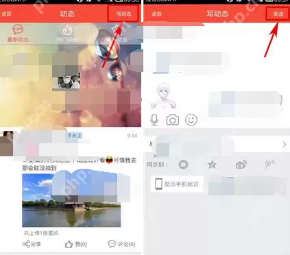淘友汇APP怎么发布动态？淘友汇发布动态的方法讲解