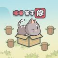这不是推箱