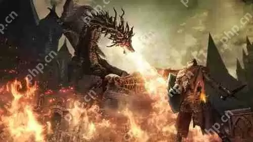 黑暗之魂3鸟巢兑换目录