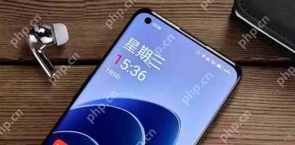 一加10有几个版本