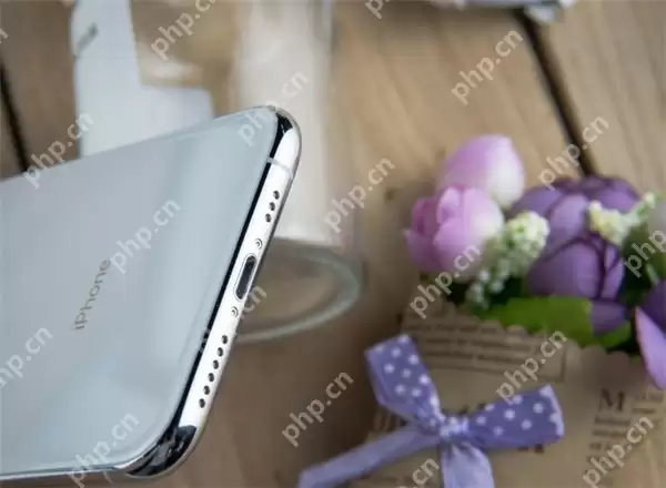 iPhonexs中充不进去电怎么回事？解决iPhonexs中充不进去电方法分享